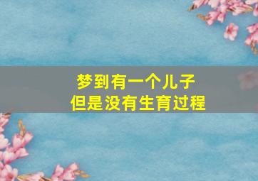 梦到有一个儿子 但是没有生育过程